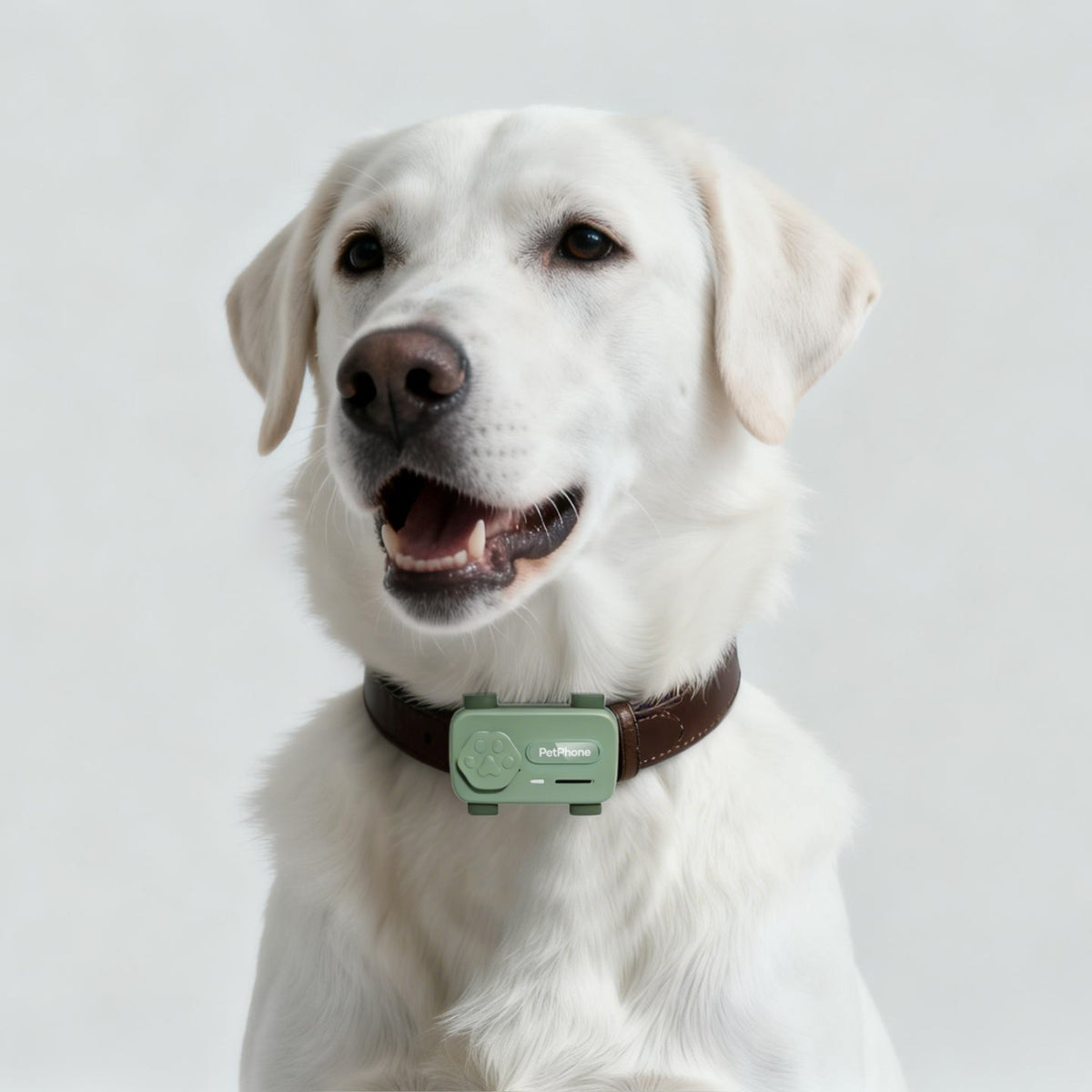 PetPhone - First Smartphone Designed For Pet & Redefining Pet Tech