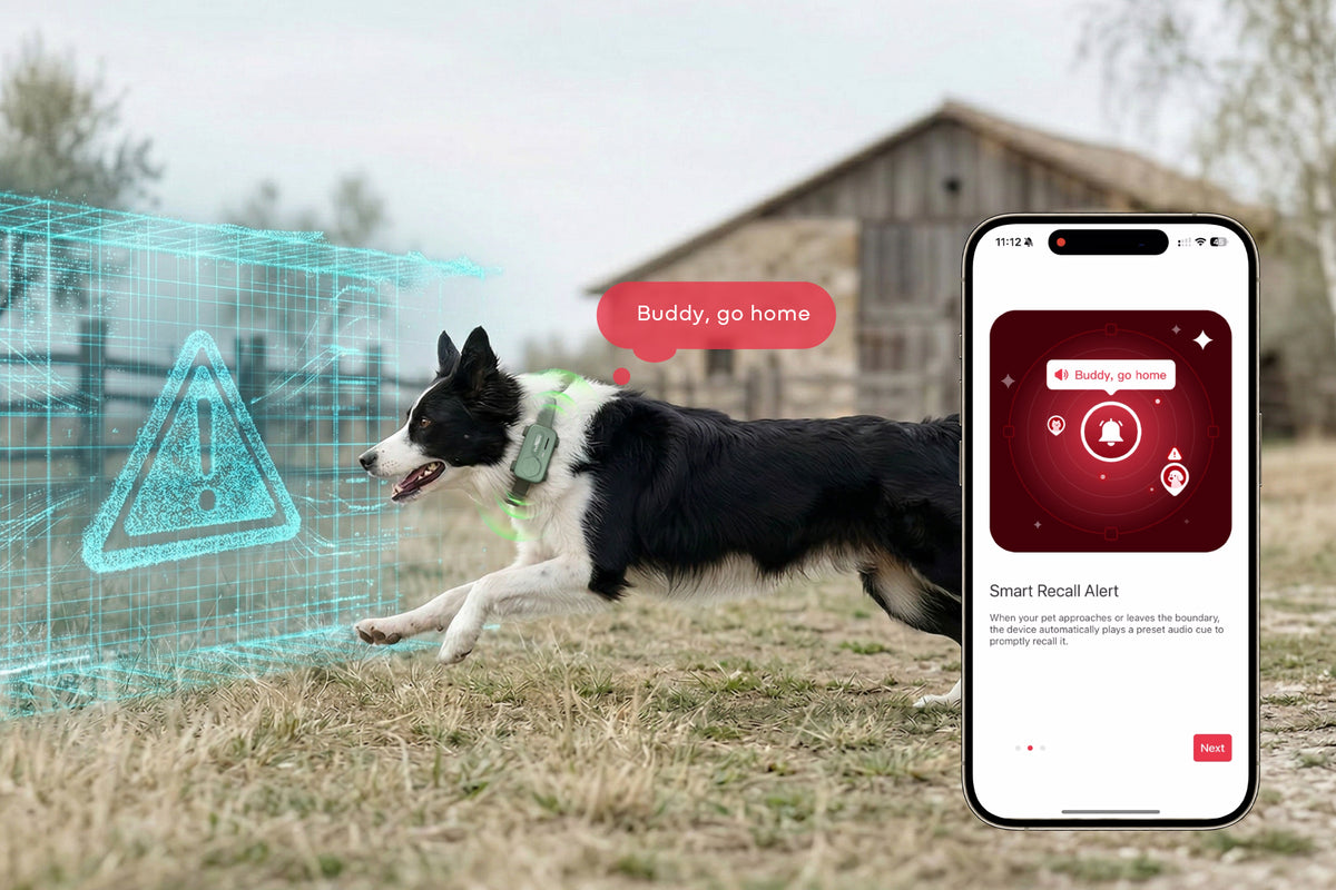 PetPhone - First Smartphone Designed For Pet & Redefining Pet Tech