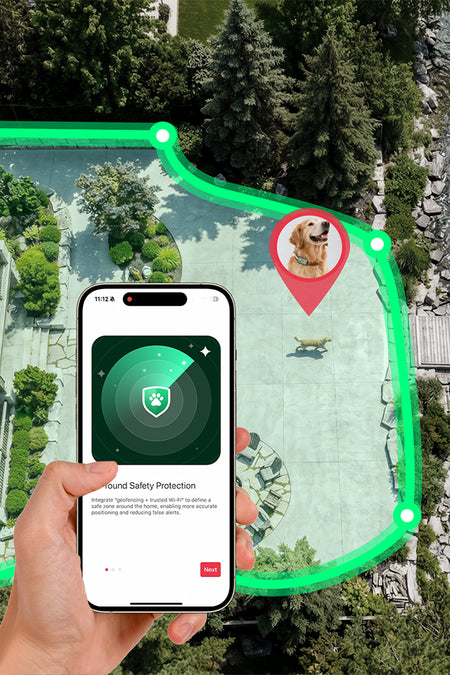 PetPhone - First Smartphone Designed For Pet & Redefining Pet Tech