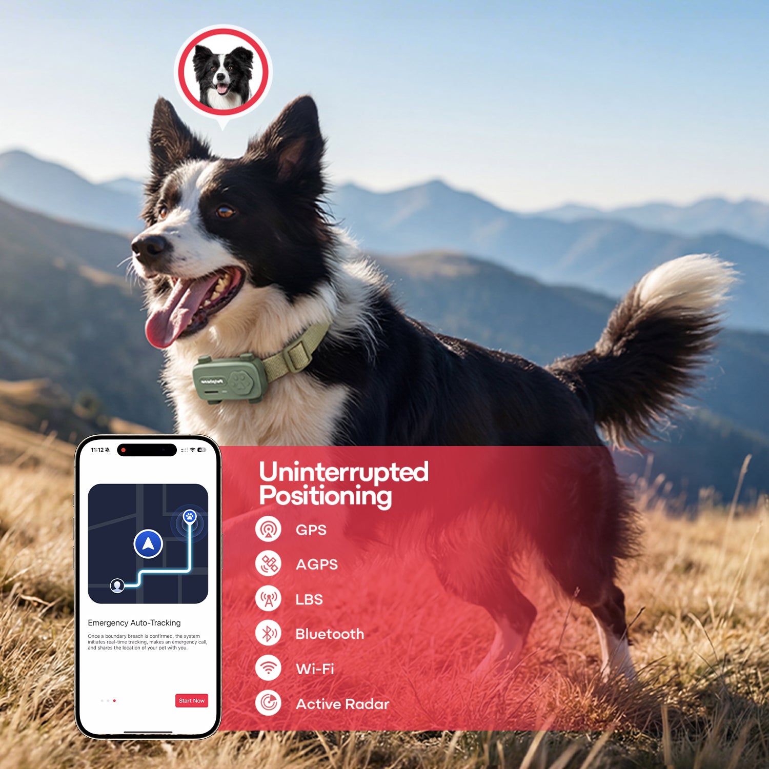 PetPhone - First Smartphone Designed For Pet & Redefining Pet Tech