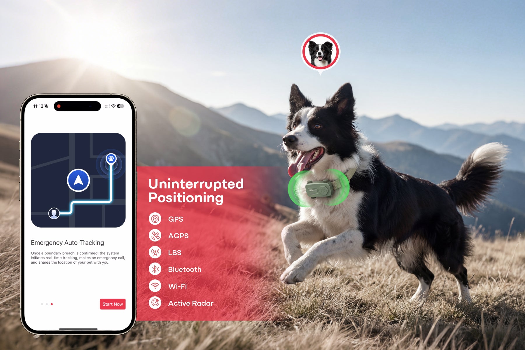 PetPhone - First Smartphone Designed For Pet & Redefining Pet Tech