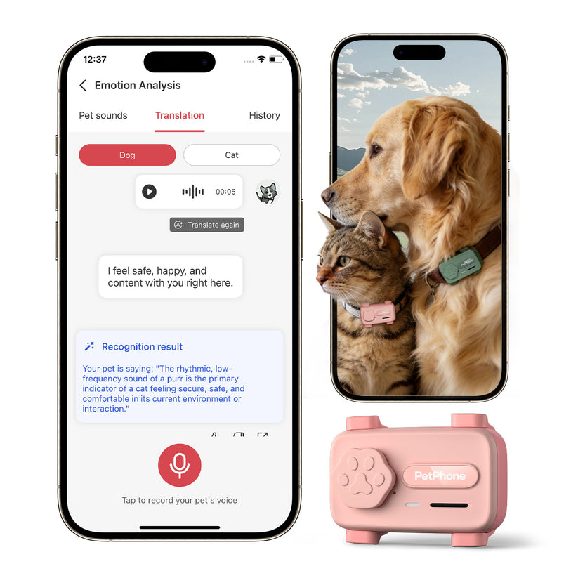 PetPhone | The first AI smartphone for pets
