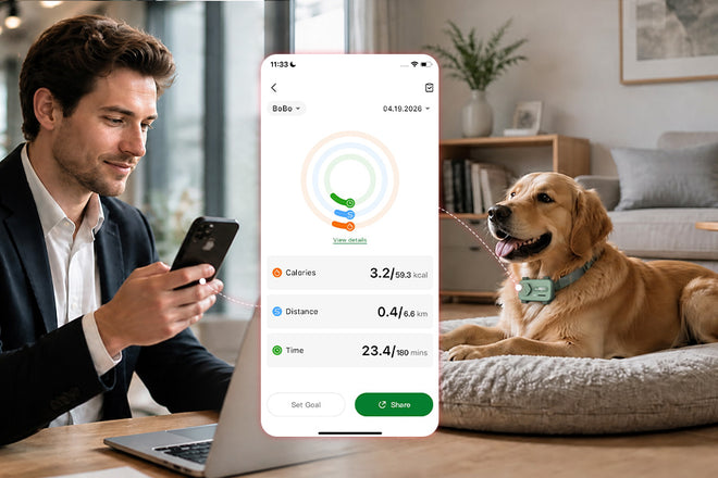 PetPhone - First Smartphone Designed For Pet & Redefining Pet Tech